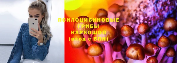 соль ск Аркадак