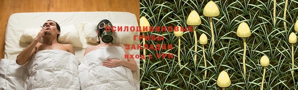 соль ск Аркадак