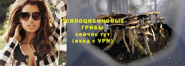 прущие крисы Армянск