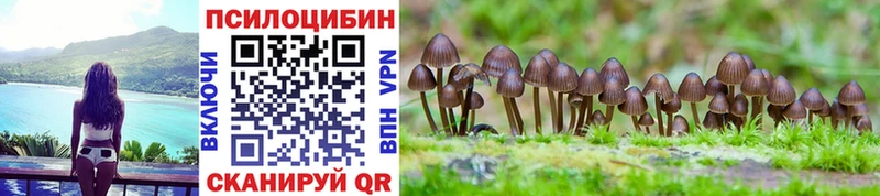 Галлюциногенные грибы Psilocybine cubensis Багратионовск