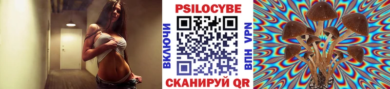 Галлюциногенные грибы Cubensis  Багратионовск 