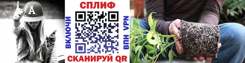 Конопля конопля  магазин    Багратионовск 